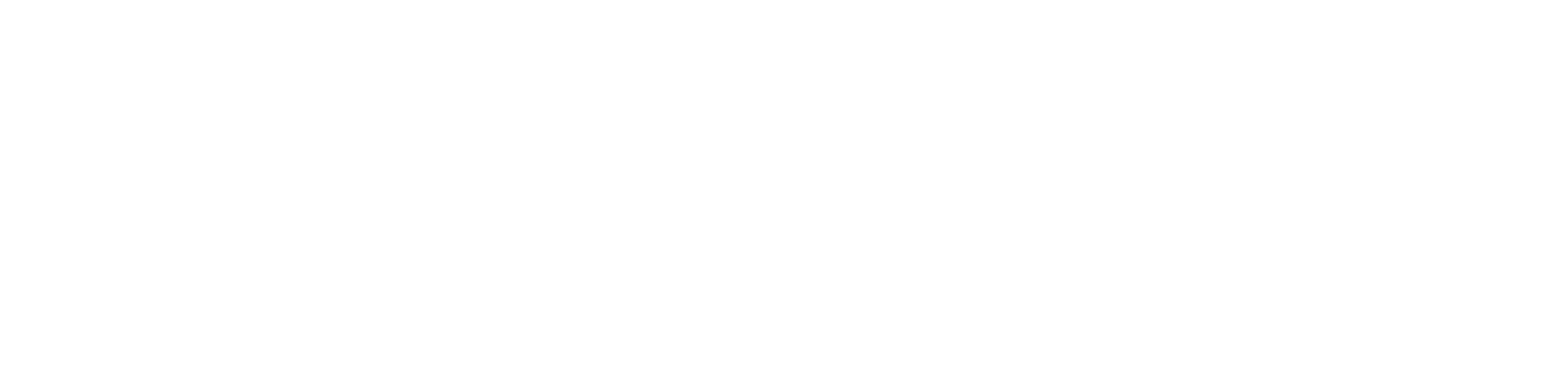 Studylane Chitwan